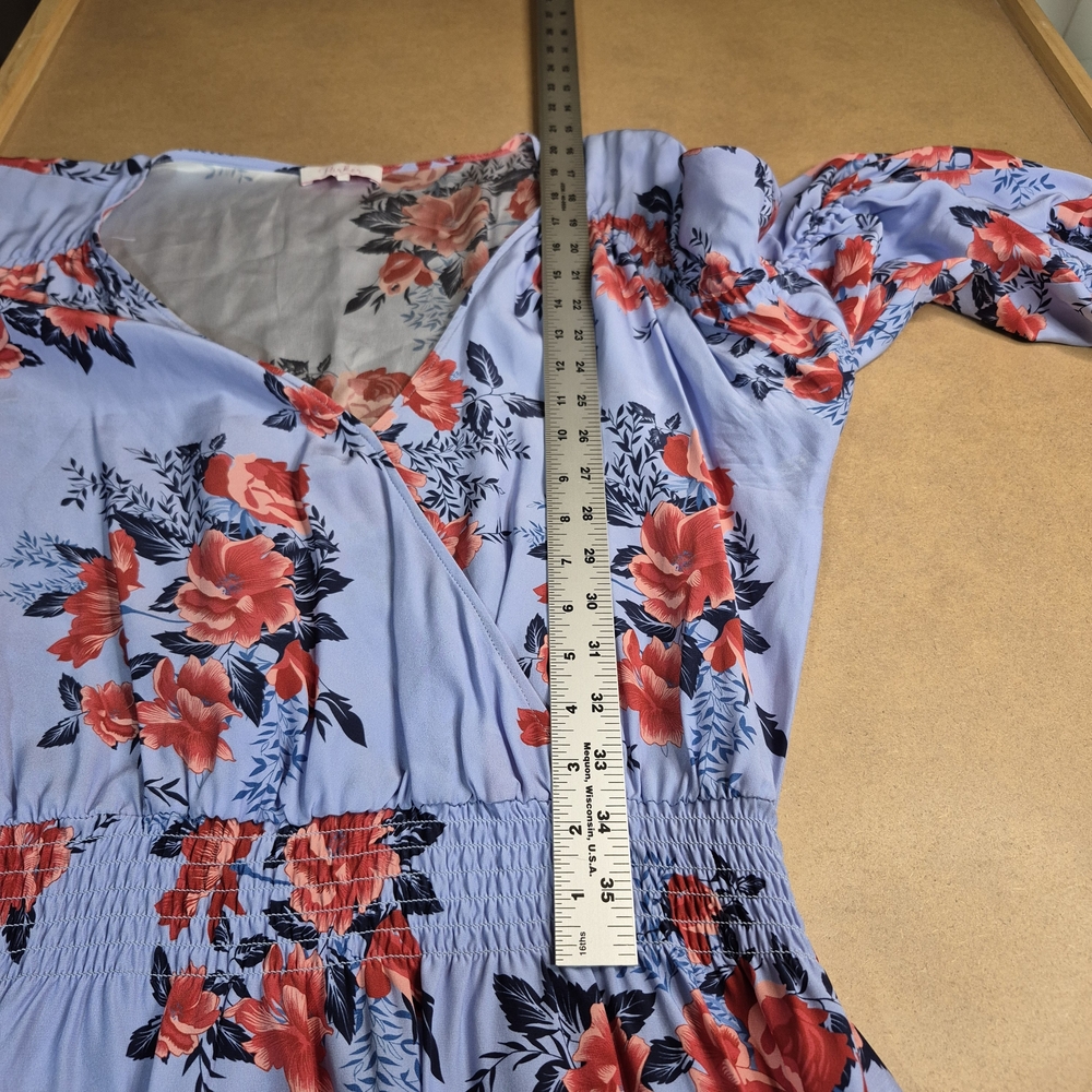 Parker Light Blue and Red Floral Silk Maxi Dress - Picture 6 of 11